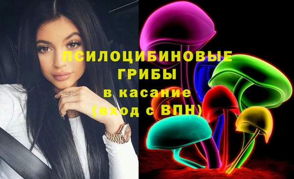 бутират Арсеньев